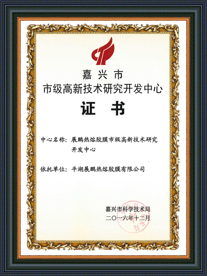 Jiaxing High-tech R&D Certificate