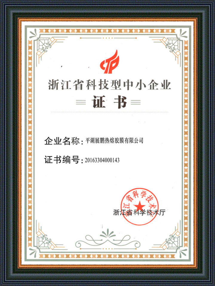 Zhejiang Science and Technology Small and Medium Enterprises Certificate